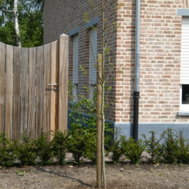 image houten-poort-classic-low-011-jpg